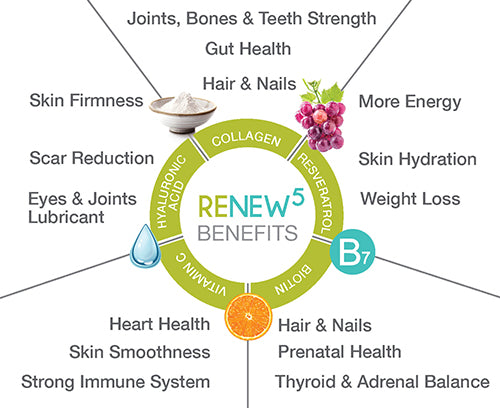 Benefits of ReNew5 Daily Drink
